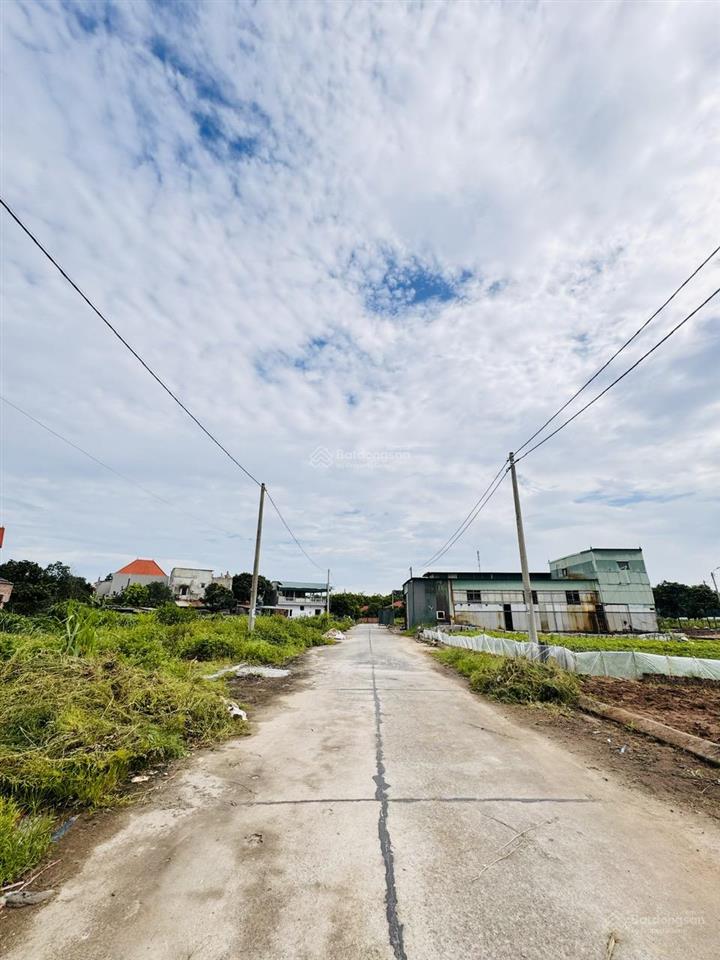 Hiếm  lô góc ô tô thông trung tâm trâu quỳ  56m² chỉ 8,1 tỷ