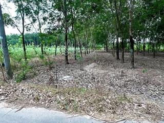 Bán đất 800m2 tại cống triết, tân hiệp, phú giáo, bình dương, 3,8 tỷ