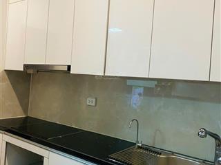 Chính chủ cho thuê chung cư cao cấp (không tiếp mua giới)