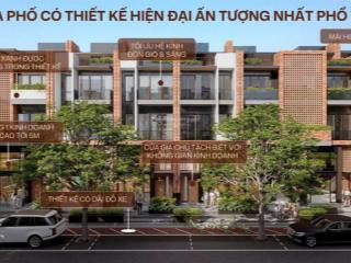 Chỉ 4.2 tỷ biệt thự 200m2 nóng bỏng tay tại homie city chính sách hấp dẫn