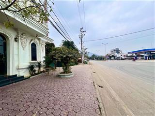 Gấp! bán nhà biệt thự lô góc, thọ tháp, dt 230m2x7t mt 15m, vỉa hè rộng, 1 hầm, 3 thoáng, thang máy
