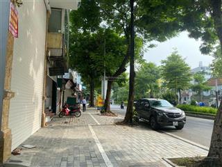 Đẳng cấp! bán nhà mp lạc long quân, 7 nổi 1 hầm, vỉa hè 6m, cho thuê vp, kd khách sạn đỉnh, 163m2