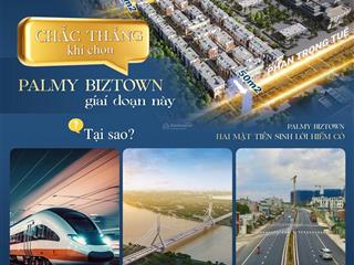 Cực hot lô góc biệt thự liền kề rẻ hơn chung cư ngay nội đô hà nội  palmy biztown