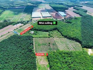 Chỉ cần 250 triệu  sở hữu ngay lô đất đẹp gần khu công nghiệp chơn thành  bình phước