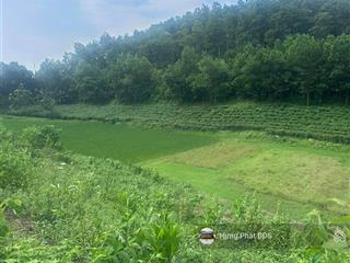 Bán nhanh lô đất phúc xuân, bắc sơn, thổ cư rộng, thích hợp villa, đầu tư nghỉ dưỡng, giá 2,5tr/m2
