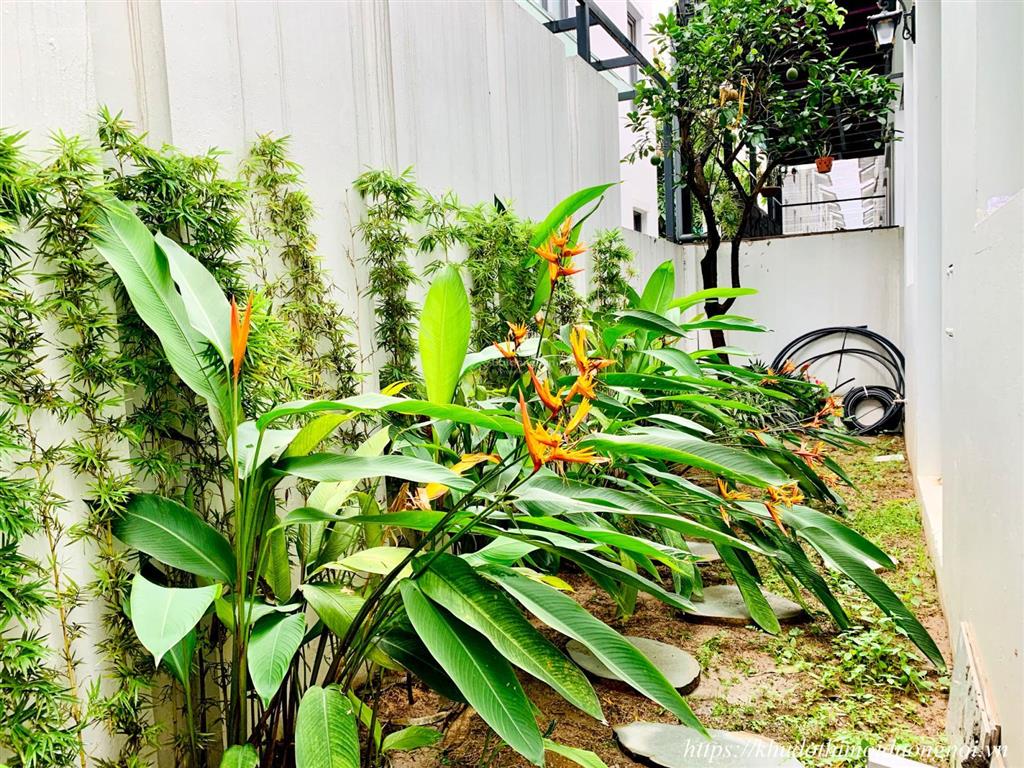 Chính chủ cho thuê biệt thự an vượng dương nội, 28 triệu, 180m2, hà đông, hà nội hoàn thiện full