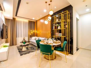 Bán căn hộ 1pn, 52m2, 2,185 tỷ tại đại lộ bình dương sổ hồng cho thuê ngay được 7,5 đến 8 triệu