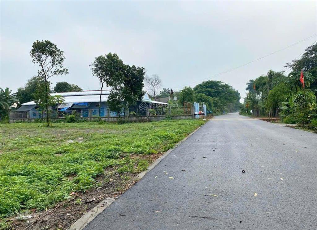 Bán lô đất gần trường học mặt tiền đường nhựa có sẵn thổ cư