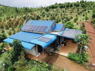 Bán 67.000m2 trồng kín sầu riêng giá 6tỷ5