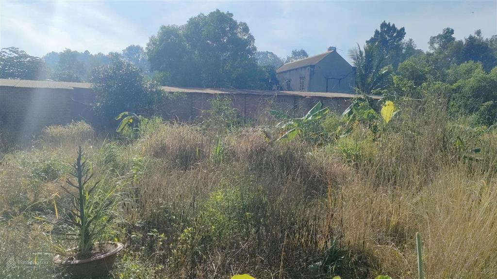 Bán đất 1.261m2 có 300m thổ  giá 7 tỷ 2 mặt tiền gần kcn bình sơn, hông khu đô thị stc long thành