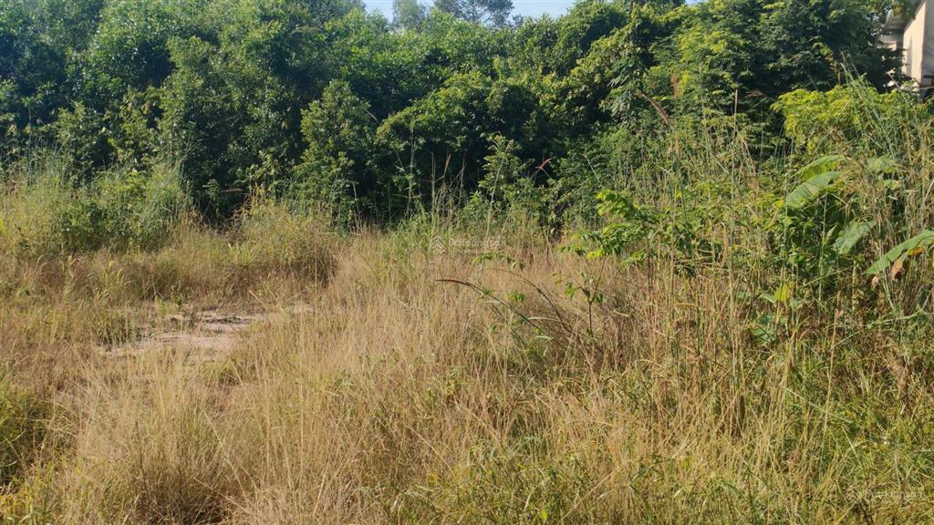 Bán đất 1.261m2 có 300m thổ  giá 7 tỷ 2 mặt tiền gần kcn bình sơn, hông khu đô thị stc long thành