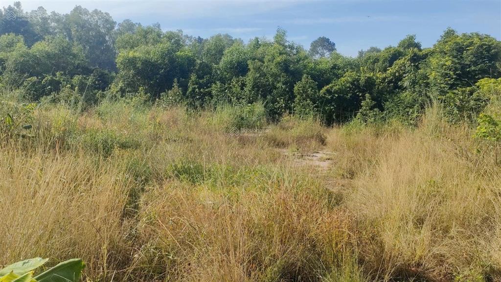 Bán đất 1.261m2 có 300m thổ  giá 7 tỷ 2 mặt tiền gần kcn bình sơn, hông khu đô thị stc long thành