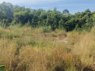 Bán đất 1.261m2 có 300m thổ  giá 7 tỷ 2 mặt tiền gần kcn bình sơn, hông khu đô thị stc long thành