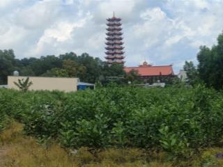 4 sổ hồng riêng gần 1 hecta  giá 45 tỷ  cần ra gấp long phước, gần cổng tây sân bay long thành