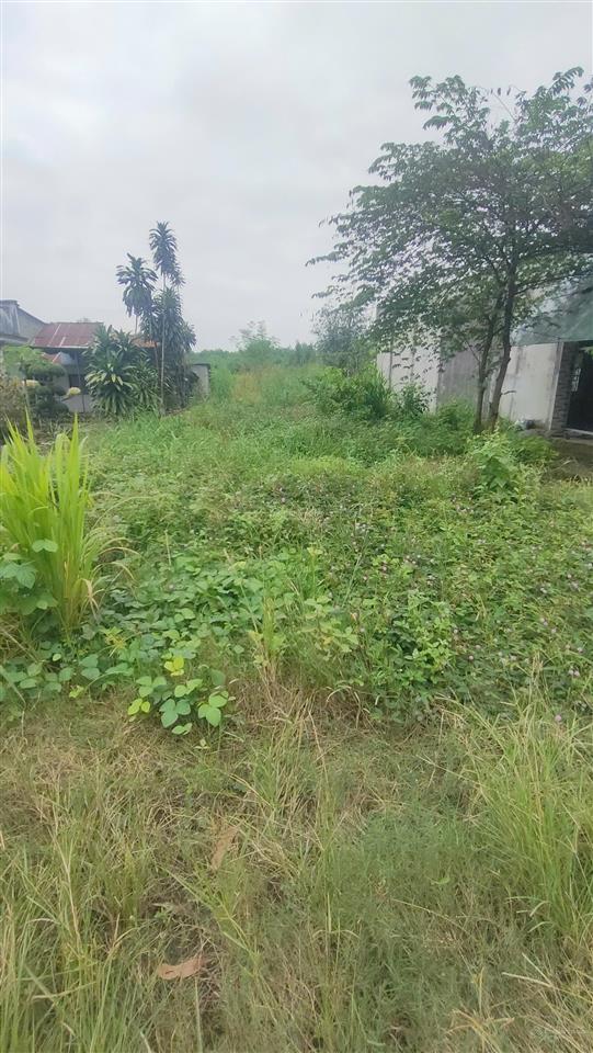 10m đất mặt tiền đường bàu cạn  giá 6 tỷ 8  long phước, long thành