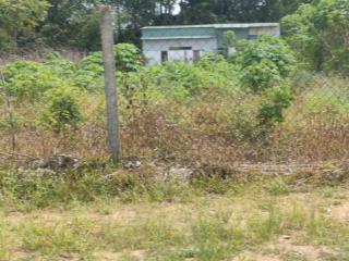 Đối diện cổng khu đô thị stc long thànhdt 195,3m full thổ giá 2 tỷ 2.