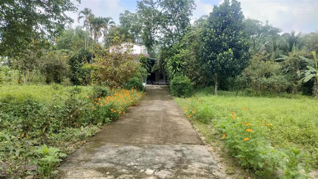 Bán đất vườn tặng nhà cấp 4 dt 6442m2 có 300m2 thổ cư  giá 45,738 tỷ 1 sẹc đường 769 xã bình sơn