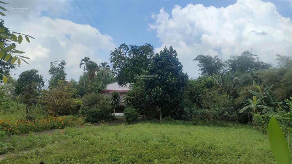 Bán đất vườn tặng nhà cấp 4 dt 6442m2 có 300m2 thổ cư  giá 45,738 tỷ 1 sẹc đường 769 xã bình sơn