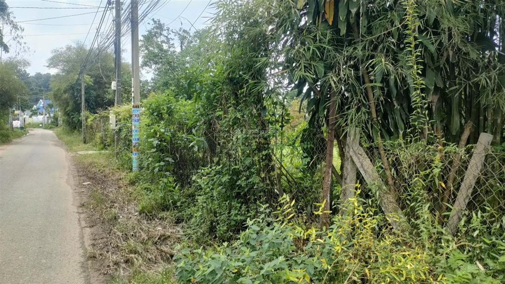 Bán đất vườn tặng nhà cấp 4 dt 6442m2 có 300m2 thổ cư  giá 45,738 tỷ 1 sẹc đường 769 xã bình sơn