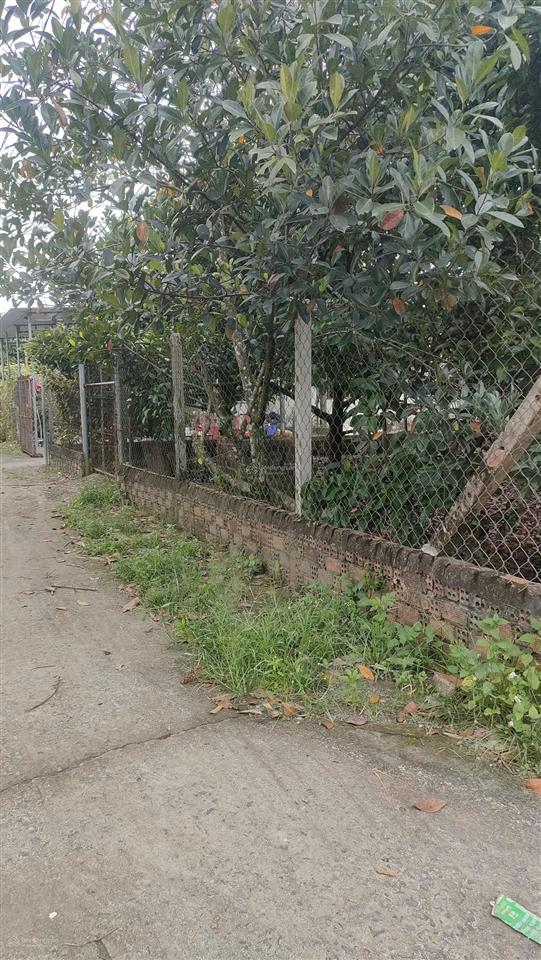 Đất 2 mặt tiền  quy hoạch đất ở đô thị dt 934m2 có 100m thổ  giá 7,5 tỷ xã an phước, long thành