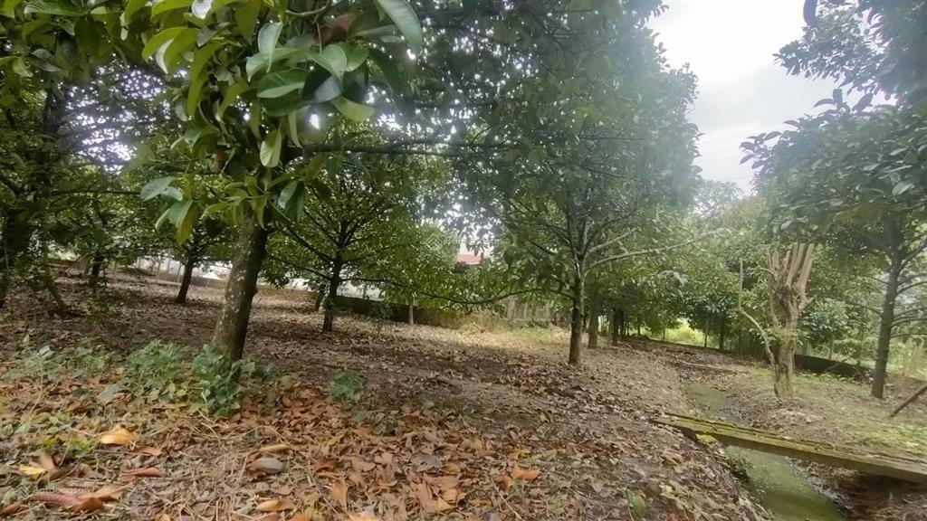 Đất 2 mặt tiền  quy hoạch đất ở đô thị dt 934m2 có 100m thổ  giá 7,5 tỷ xã an phước, long thành