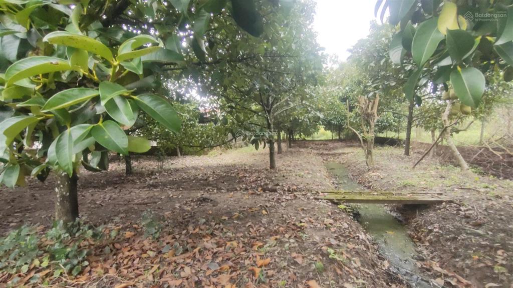 Đất 2 mặt tiền  quy hoạch đất ở đô thị dt 934m2 có 100m thổ  giá 7,5 tỷ xã an phước, long thành