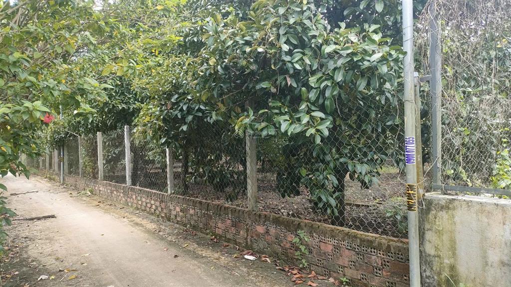 Đất 2 mặt tiền  quy hoạch đất ở đô thị dt 934m2 có 100m thổ  giá 7,5 tỷ xã an phước, long thành