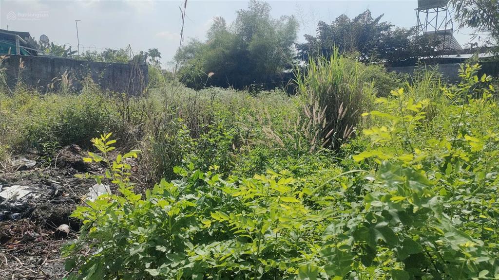 Bán 2 sổ liền kề  đất thổ cư khu dân cư xung túc, 2 sổ giá 2,050 tỷan phước  long thànhđn