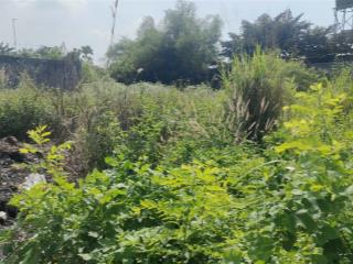 Bán 2 sổ liền kề  đất thổ cư khu dân cư xung túc, 2 sổ giá 2,050 tỷan phước  long thànhđn