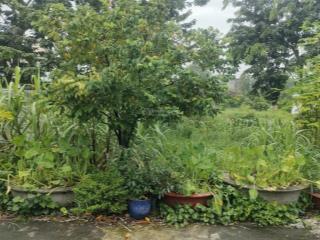 Bao đẹp, 1 nền 2 mặt tiền thẳng tắp 159m  full thổ  3 tỉ 3  an phước, long thành