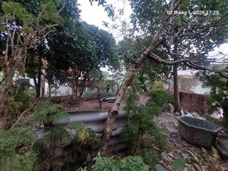 Full thổ cư, 272m2, mt11m, ô tô 7 chỗ thông, 5.5 tỷ, phú cường, sóc sơn.
