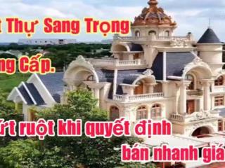 Bán biệt thự tân bình di an bình dương