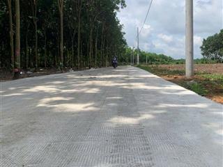Đất nền sổ sẵn đường nhựa dân cư đông