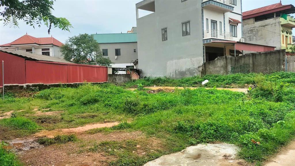 Bán gấp, đất ngọ xá,châu minh, hiệp hòa, bắc giang, 115,6m, ô tô tránh, sát kcn hoà phú, 2,35 tỷ