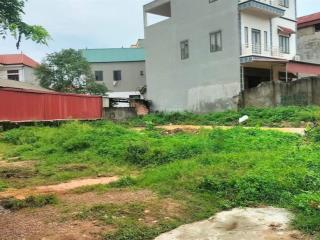 Bán gấp, đất ngọ xá,châu minh, hiệp hòa, bắc giang, 115,6m, ô tô tránh, sát kcn hoà phú, 2,35 tỷ