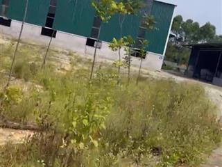 Bán 6000m2, nhà xưởng, 1200m2 tc, tại lục sơn, lục nam, bắc giang, 100m ra tỉnh lộ.  mr jimtong