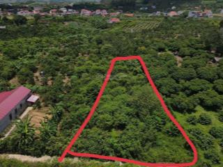 Siêu hot! đất vườn có thổ cư. 1,3 tỷ  s=1450m2, xã tiến thắng, yên thế, bắc giang, mặt tiền 40m