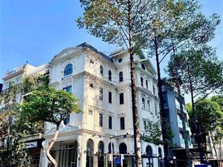 Bán nhà góc siêu vị trí phạm văn nghị trung tâm phú mỹ hưng quận 7, dtsd 745m2