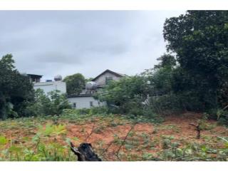 Cắt lỗ! bán siêu phẩm 800m2, đường quy hoạch, hợp đầu tư,làm homestay tại xã hạ long, huyện vân đồn
