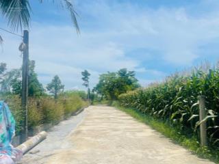 Chính chủ bán lô đất trà kiểm 10 hoà phước hoà xuân vị trí đẹp, dân đông