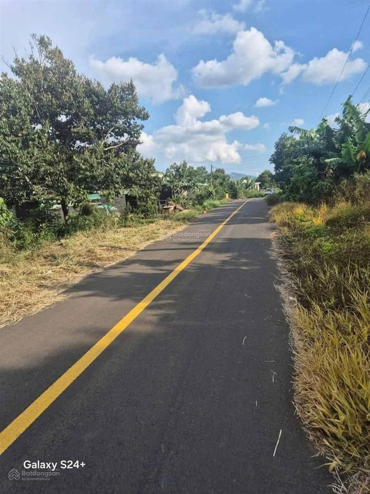 Vườn trái cây nghỉ dưỡng mặt tiền nhựa, giá tốt