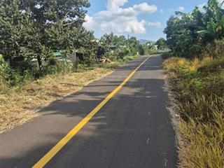 Vườn trái cây nghỉ dưỡng mặt tiền nhựa, giá tốt