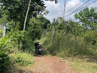 Đấu giá đất dầu tiếng cũ  phiên 7