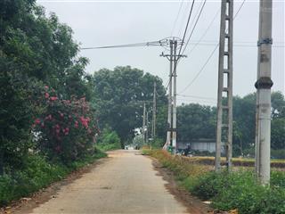 Bán đất tại long thượng, phúc thọ, hà nội, 1,5 tỷ, 1200 m2