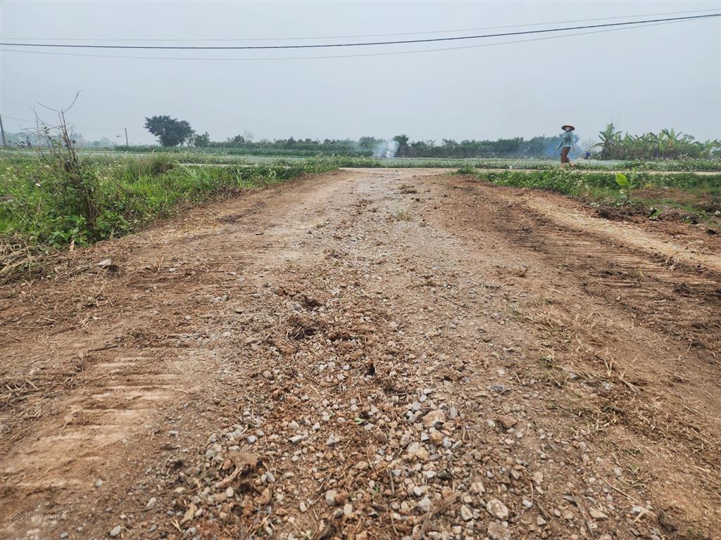 Bán đất tại phúc hòa, phúc thọ, hà nội, 3 tỷ, 3600000 m2
