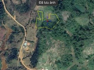Bán trang trại view đẹp tại thị trấn măng đen, 1,1 tỷ, 6600m2, cách măng đen 10km