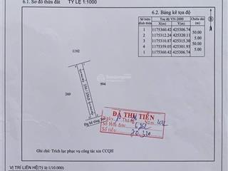 Chính chủ cần bán nhanh để về quê diện tích 250m2 (100m2 đất ở và 150m2 cln