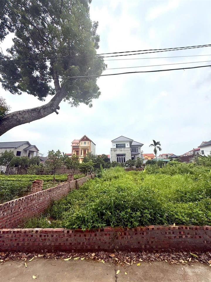 Chính chủ cần bán lô đất đẹp phú hữu, tiến thắng, mê linh, hà nội