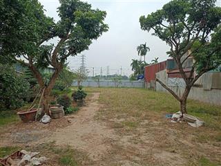 Song phương 1008m2 đất 50 năm chính chủ cần bán