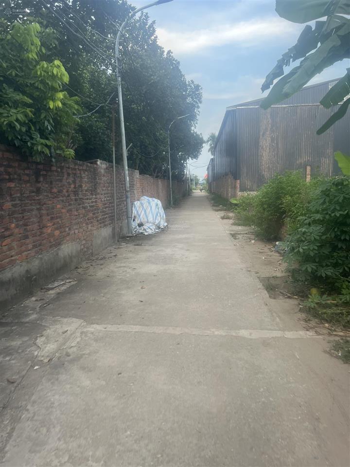 Song phương em cần bán đất 288m2 đất xen kẹt, tại song phương, hoài đức. thích hợp làm nhà vườn